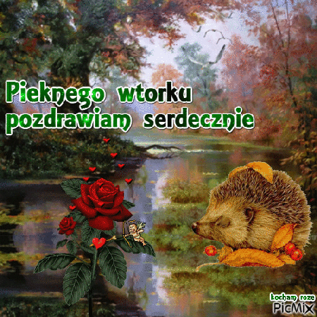 Jeż życzy pięknego wtorku pozdrawia serdecznie